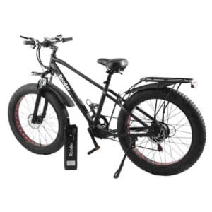 1000 watt electric bike dealer factory manufacturer wholesale