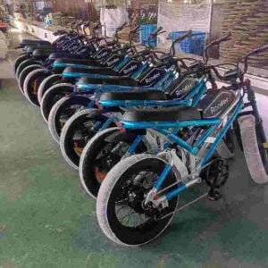 1000w electric bike dealer factory manufacturer wholesale