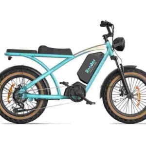 1500w electric bike dealer factory manufacturer wholesale