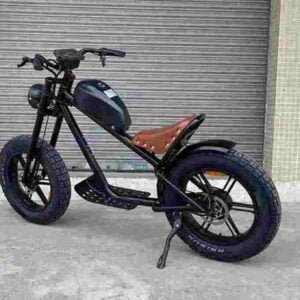 2 Wheel Electric Bike dealer factory manufacturer wholesale