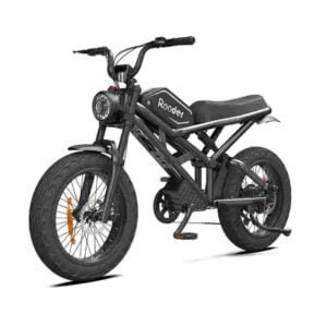2 person electric bike dealer factory manufacturer wholesale
