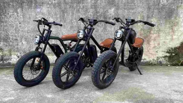 2 seater electric bike dealer factory manufacturer wholesale