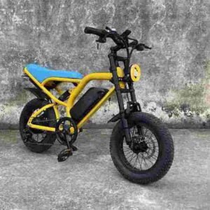 20 Folding Electric Bike dealer factory manufacturer wholesale