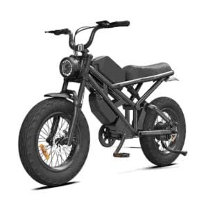 250watt Electric Bike dealer factory manufacturer wholesale
