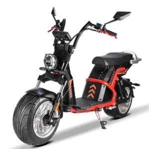 3 Wheel Citycoco dealer factory manufacturer wholesale