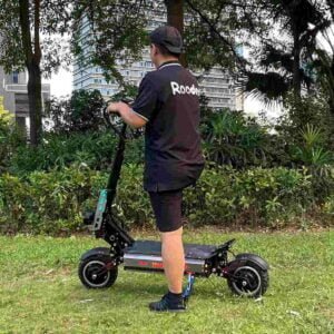 3 Wheel Scooter Off Road dealer factory manufacturer wholesale