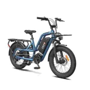 3 wheel electric bike dealer factory manufacturer wholesale