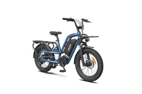 3 wheel electric bike dealer factory manufacturer wholesale