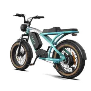 3 wheel electric bike for 2 adults dealer manufacturer wholesale