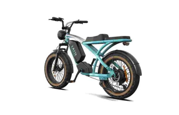 3 wheel electric bike for 2 adults dealer manufacturer wholesale