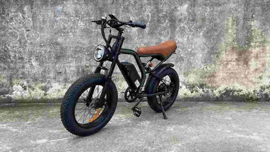 3 wheel electric bike for adults dealer manufacturer wholesale