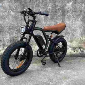 3 wheel electric bike for adults dealer manufacturer wholesale