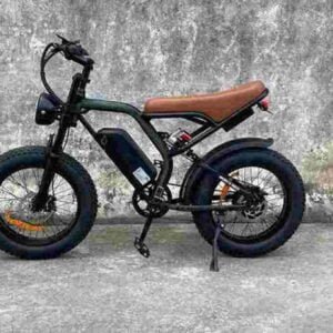 3000w ebike dealer factory manufacturer wholesale