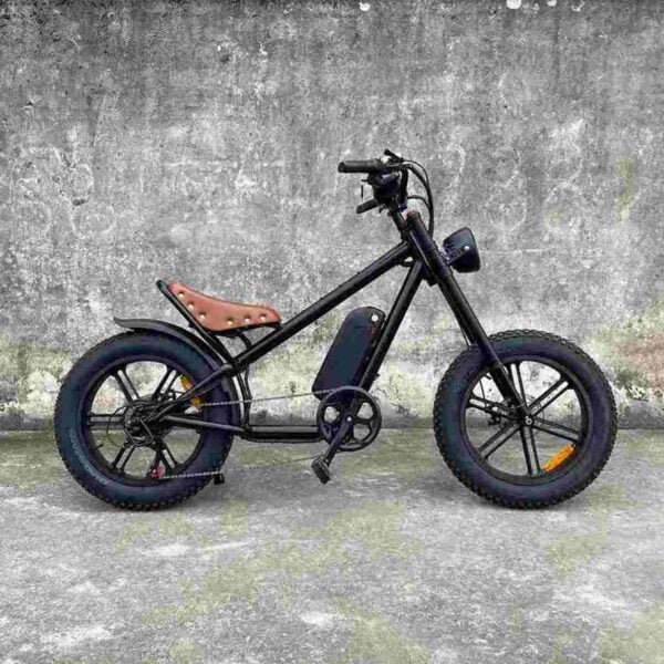 40mph ebike dealer factory manufacturer wholesale