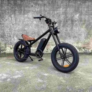 48v ebike dealer factory manufacturer wholesale