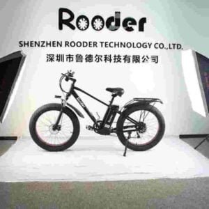 48v Electric Dirt Bike For Adults dealer manufacturer wholesale