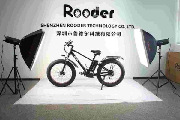 48v Fat Tire Electric Bike dealer factory manufacturer wholesale