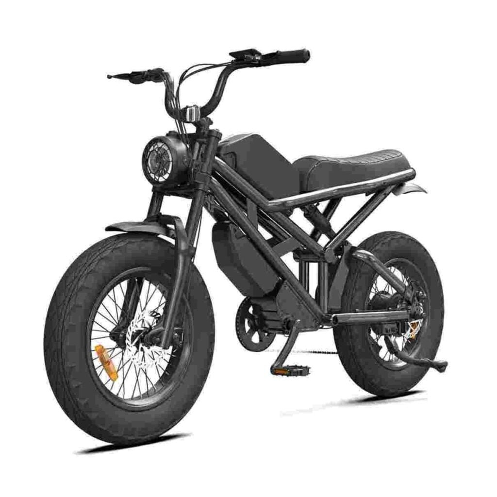 750 watt electric bike dealer factory manufacturer wholesale
