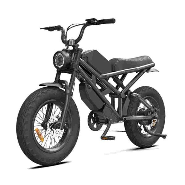 750 Watt Electric Fat Tire Bike dealer factory manufacturer wholesale