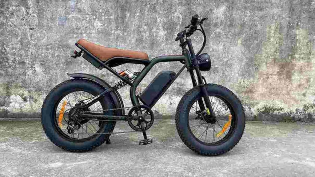750 Watt Fat Tire Bike dealer factory manufacturer wholesale