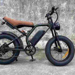 750 Watt Fat Tire Bike dealer factory manufacturer wholesale