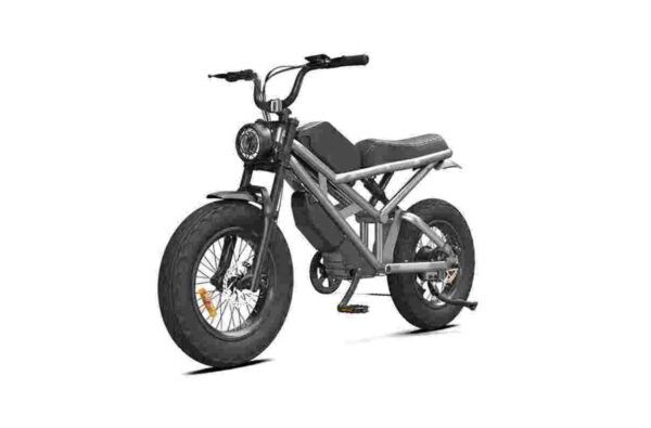 750w electric bike dealer factory manufacturer wholesale