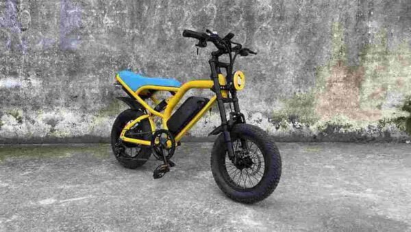 Adult Folding Electric Bike dealer factory manufacturer wholesale