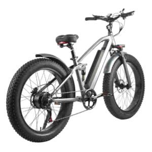 Best Affordable Folding Electric Bike dealer manufacturer wholesale
