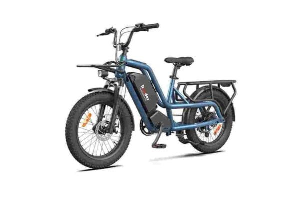 Best Budget Folding Electric Bike dealer manufacturer wholesale