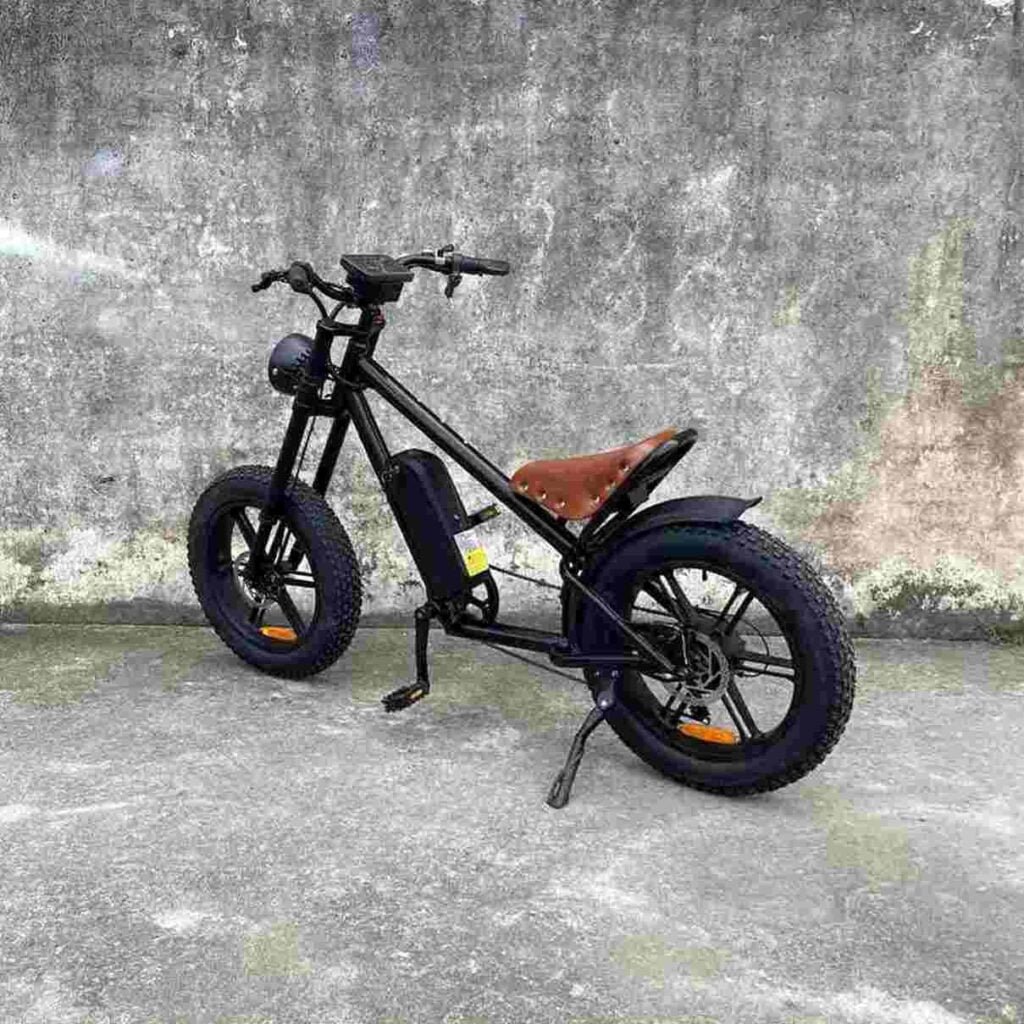 Best Electric Fat Bike dealer factory manufacturer wholesale