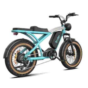 best fat tire electric bike dealer factory manufacturer wholesale
