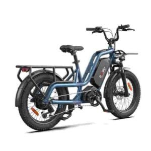 Best Fat Tyre Electric Bike dealer factory manufacturer wholesale
