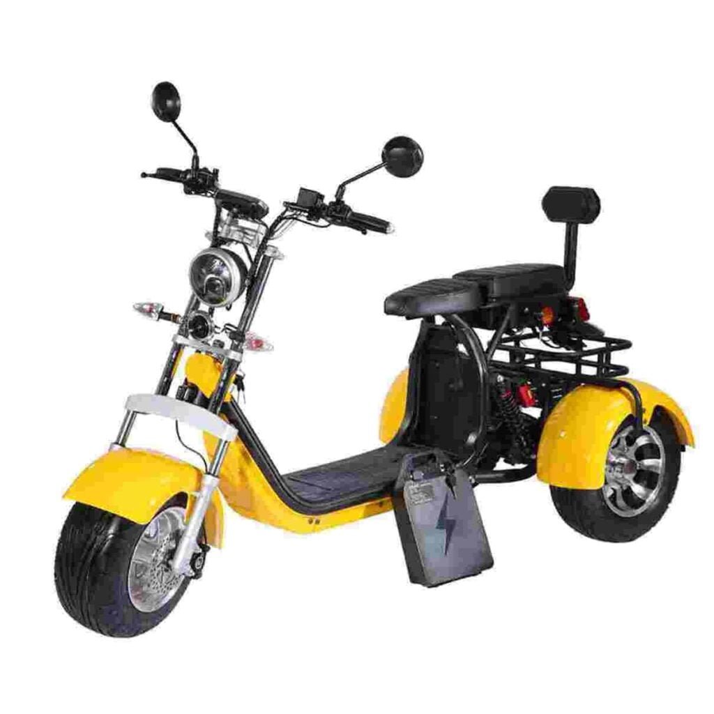 Citycoco A1 dealer factory manufacturer wholesale