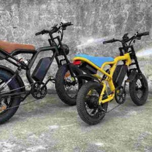 custom ebikes dealer factory manufacturer wholesale