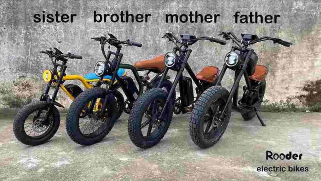 Dual Suspension Ebike dealer factory manufacturer wholesale