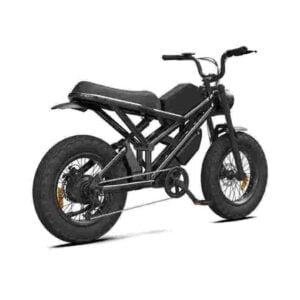 Ebike 1000w dealer factory manufacturer wholesale