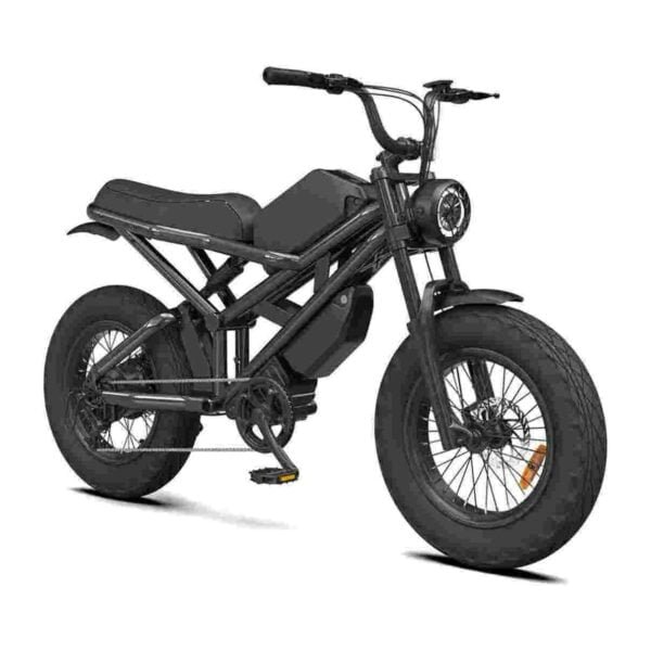 Ebike Snow dealer factory manufacturer wholesale