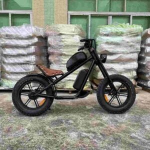 Eco Electric Folding Bike dealer factory manufacturer wholesale