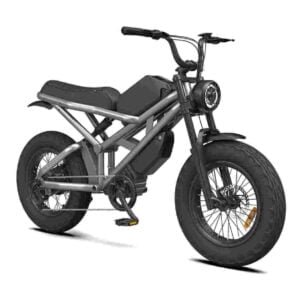 Eco Folding Electric Bike dealer factory manufacturer wholesale