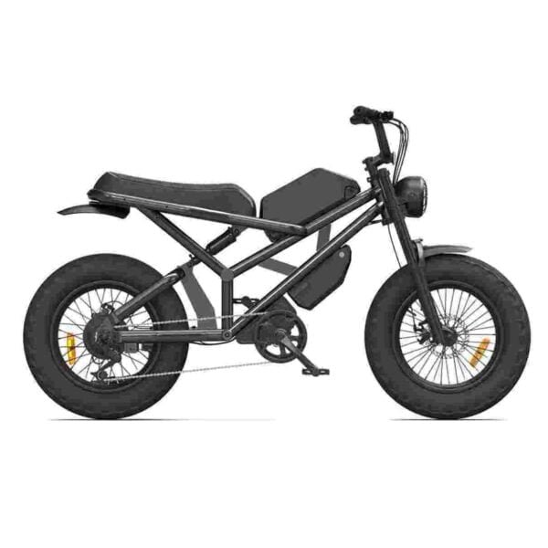 Electric Bike Foldable 20 Inch dealer factory manufacturer wholesale