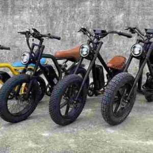 Electric Bikes Direct dealer factory manufacturer wholesale