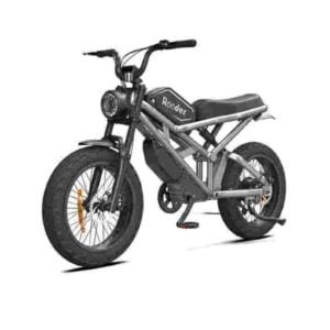 Electric Fat Tyre Bicycle dealer factory manufacturer wholesale