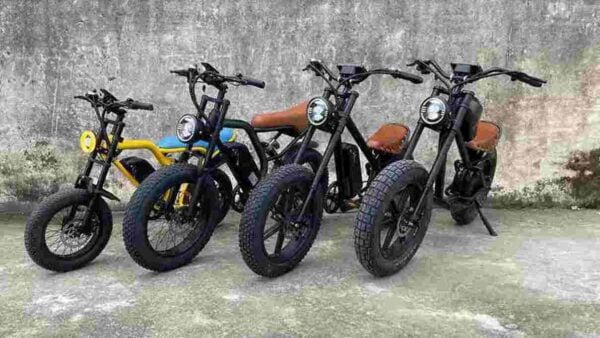 Electric Fat Tyre Cycle dealer factory manufacturer wholesale