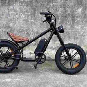 Electric Moped Bike dealer factory manufacturer wholesale