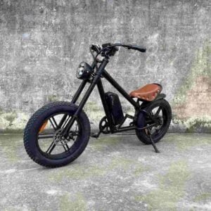 Electric Pedal Bike dealer factory manufacturer wholesale