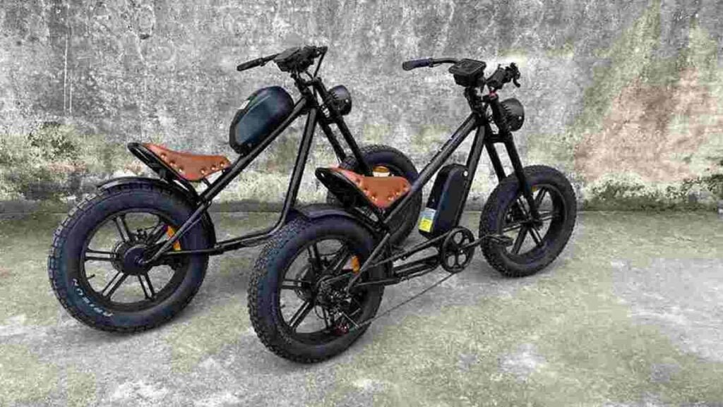 Electric Scooter Bike For Adults dealer manufacturer wholesale