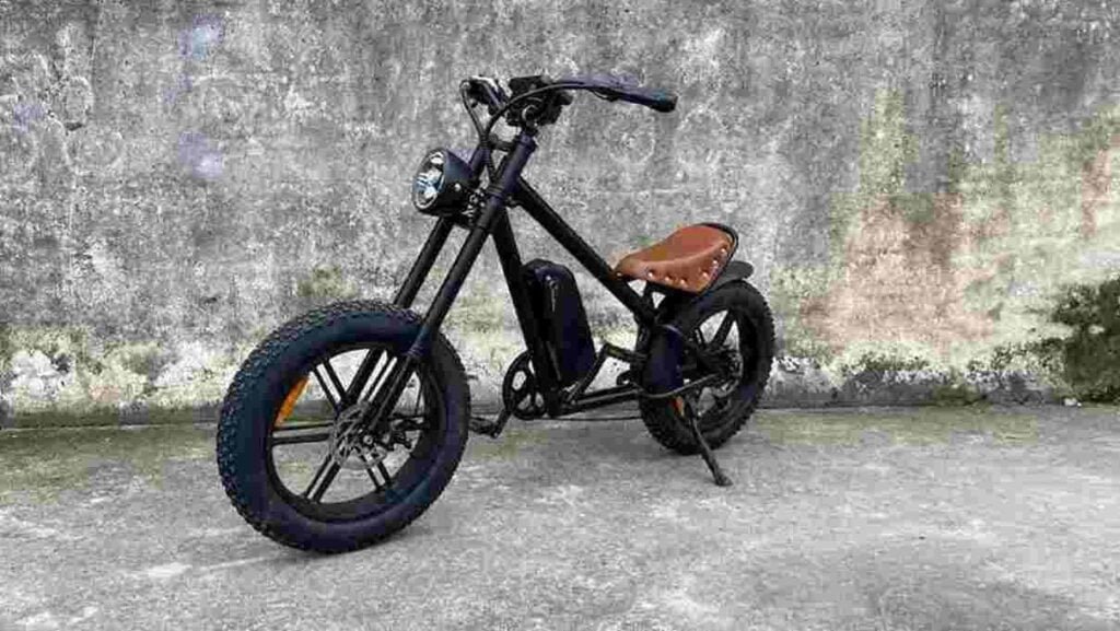 Fat Tire E Bike dealer factory manufacturer wholesale