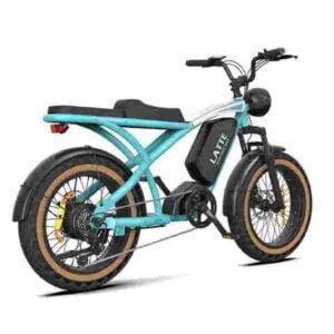 fat tyre electric bike dealer factory manufacturer wholesale