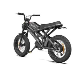 fat wheel electric bike dealer factory manufacturer wholesale