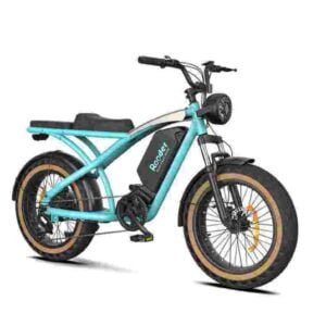 Mountain Snow Electric Bicycle dealer factory manufacturer wholesale